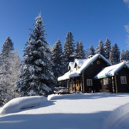 Domaine Le Bostonnais - Le Village En Bois Rond لاتوك المظهر الخارجي الصورة