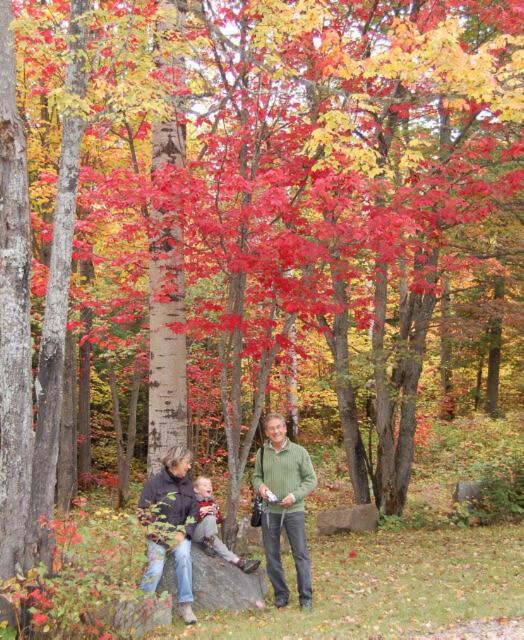 Domaine Le Bostonnais - Le Village En Bois Rond لاتوك المظهر الخارجي الصورة