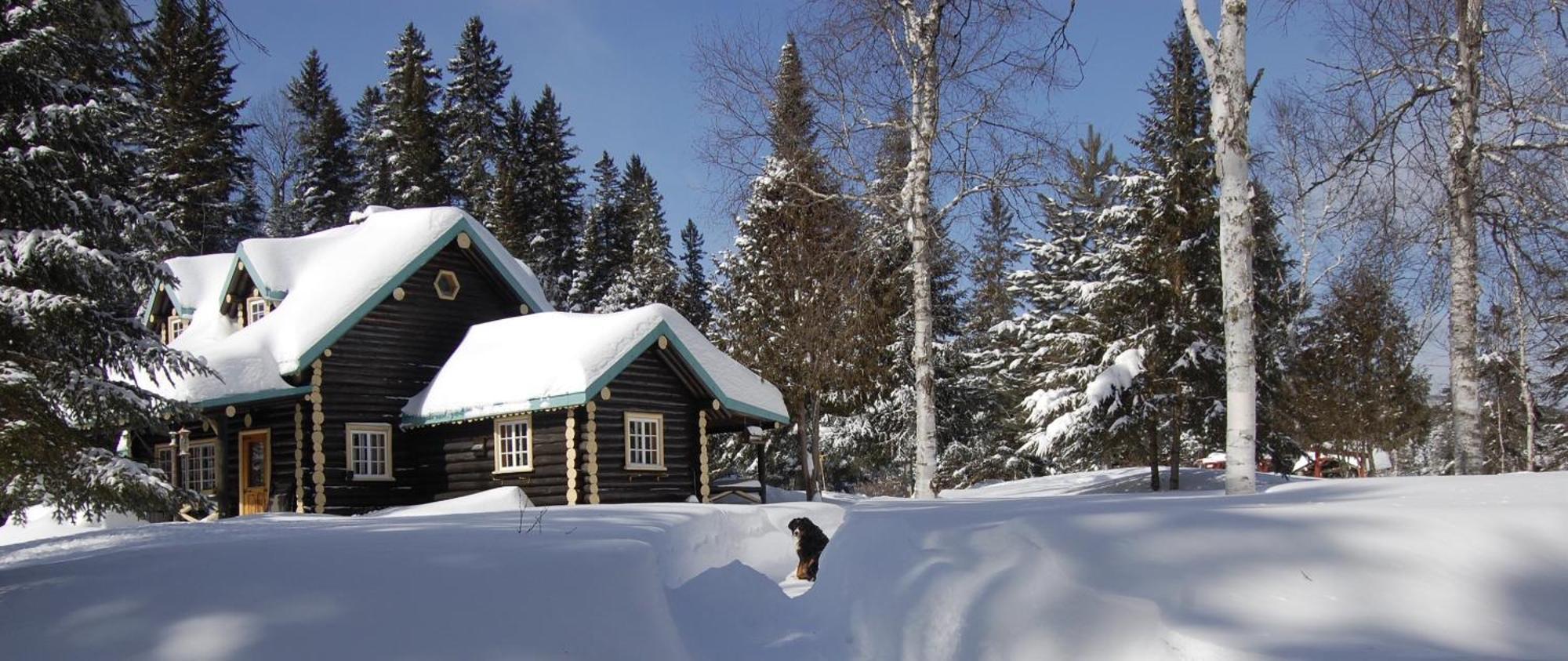 Domaine Le Bostonnais - Le Village En Bois Rond لاتوك المظهر الخارجي الصورة