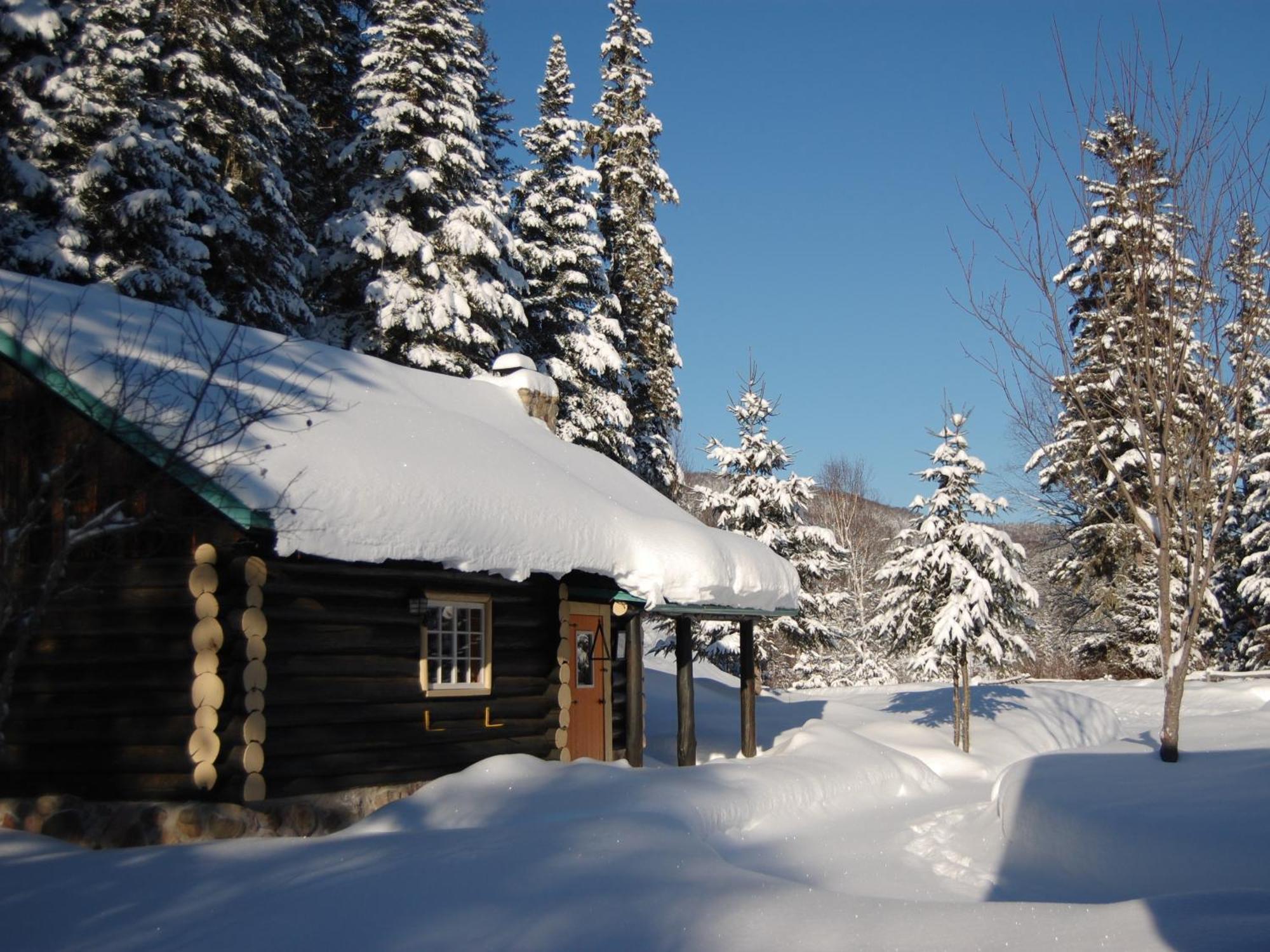 Domaine Le Bostonnais - Le Village En Bois Rond لاتوك الغرفة الصورة