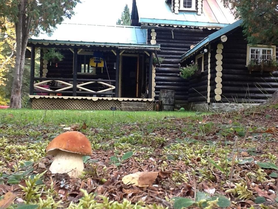 Domaine Le Bostonnais - Le Village En Bois Rond لاتوك المظهر الخارجي الصورة